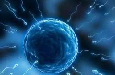 高龄女性在上海曙光医院试管婴儿成功率高吗？上海地区有哪些私立的机构可以做试管技术？