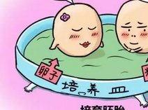 上海一妇婴试管婴儿医生有哪些？做试管要符合哪些条件？