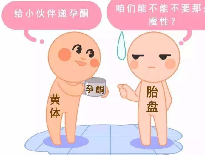 hpv高危试管婴儿可不可以建档,整个流程复杂吗？