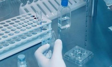 试管移植后为什么需要做B超？