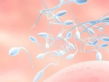 泰国试管婴儿胚胎很好，为什么移植后会胎停？