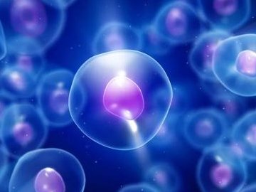 去上海中山医院做三代试管婴儿需要花费多少钱？上海中山医院三代试管费用明细是怎么样的